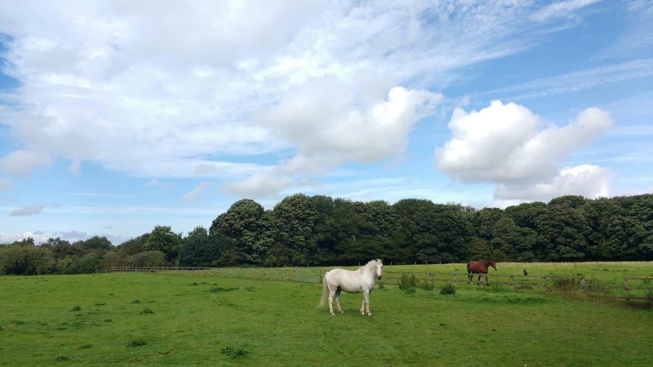 Beech Hill B&B Weaverham 외부 사진